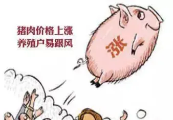 生猪期货只有大商所吗(生猪期货今日行情)_https://www.cqckcrrc.com_道指直播_第1张