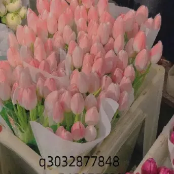 水果期货会有前途吗(水果期货是什么意思)_https://www.cqckcrrc.com_期货品种_第1张