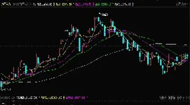 期货交易单位是什么意思是什么(期货合约的交易单位是指什么)_https://www.cqckcrrc.com_期货品种_第1张