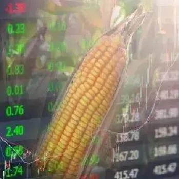 玉米期货交割库(玉米期货交割地点在哪里)_国际期货_第1张_期货投资网 玉米期货交割库(玉米期货交割地点在哪里)_https://www.cqckcrrc.com_国际期货_第1张