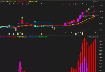 期货如何查看主力(期货怎么看主力资金流向)_https://www.cqckcrrc.com_期货品种_第1张