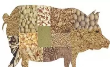 豆粕的营养特点和饲用价值(豆粕的营养价值有哪些)_https://www.cqckcrrc.com_内盘期货_第1张