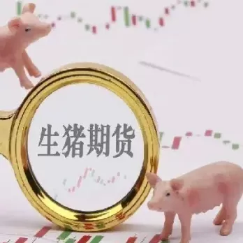 我国生猪期货上市的时间(生猪期货交易上市时间)_期货开户_第1张_期货投资网 我国生猪期货上市的时间(生猪期货交易上市时间)_https://www.cqckcrrc.com_期货开户_第1张