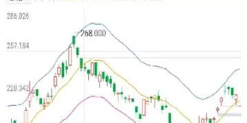 股票指数名词解释(股票指数名词解释是什么)_期货交易所_第1张_期货投资网 股票指数名词解释(股票指数名词解释是什么)_https://www.cqckcrrc.com_期货交易所_第1张