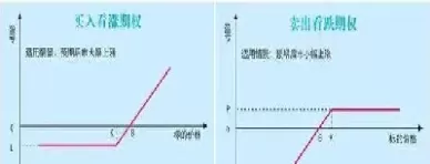 看涨期权和看跌期权的下限(看涨期权与看跌期权执行价格)_https://www.cqckcrrc.com_恒指期货_第1张