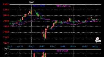 最新黄金期货实时行情(黄金期货今日价格行情)_股票理财_第1张_期货投资网 最新黄金期货实时行情(黄金期货今日价格行情)_https://www.cqckcrrc.com_股票理财_第1张