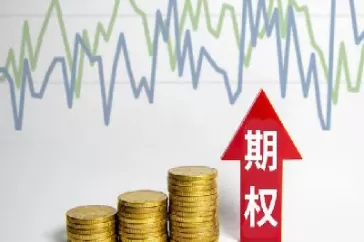 期权一天涨了一百多倍(期权一天波动最大多少)_https://www.cqckcrrc.com_财经要闻_第1张