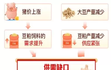 原油和豆粕的价格关系(原油和豆粕什么关系)_https://www.cqckcrrc.com_黄金期货_第1张