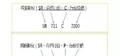 白糖期权交割方式(白糖期货交割月能买入吗)_https://www.cqckcrrc.com_财经要闻_第1张