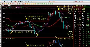 期货与期权市场最大的特点(期货与期权市场)_https://www.cqckcrrc.com_期货直播_第1张