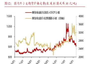 期货玉米走势图2501(期货玉米走势图2501年)_https://www.cqckcrrc.com_财经直播室_第1张
