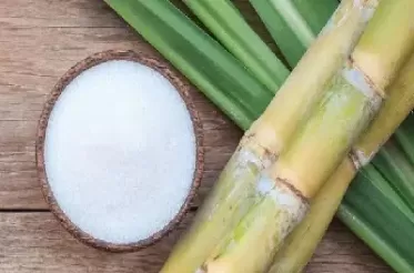 白糖期货关联品种(白糖期货相关品种)_财经要闻_第1张_期货投资网 白糖期货关联品种(白糖期货相关品种)_https://www.cqckcrrc.com_财经要闻_第1张