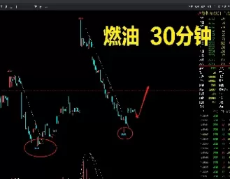 燃油2405期货最新消息(燃油期货2409最新行情)_https://www.cqckcrrc.com_期货理财_第1张