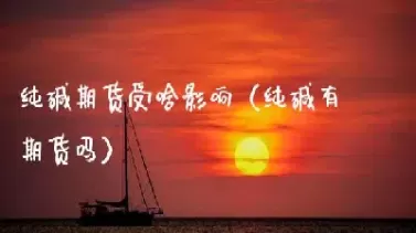 纯碱期货受原油影响吗(纯碱期货跟国际原油有关系吗)_https://www.cqckcrrc.com_道指直播_第1张