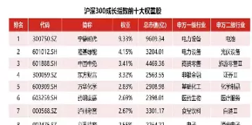 沪深300代码是什么(沪深300板块代码)_https://www.cqckcrrc.com_期货知识_第1张