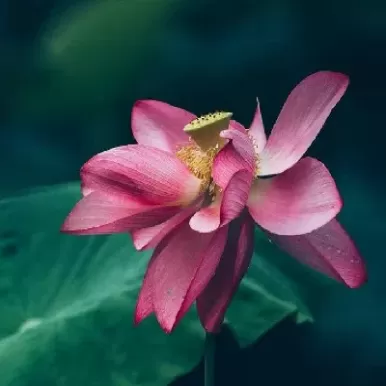上证指数和股指期货(股指期货和股票指数之间的关系)_https://www.cqckcrrc.com_期货开户_第1张