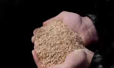 豆粕行情多地回温(豆粕后期行情分析)_期货理财_第1张_期货投资网 豆粕行情多地回温(豆粕后期行情分析)_https://www.cqckcrrc.com_期货理财_第1张
