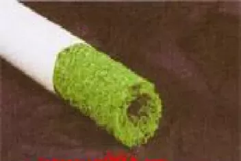 塑料价格行情期货走势图(pe塑料期货价格走势图)_https://www.cqckcrrc.com_期货交易所_第1张