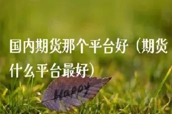 期货市场在哪里看(期货交易在哪里看)_国际期货_第1张_期货投资网 期货市场在哪里看(期货交易在哪里看)_https://www.cqckcrrc.com_国际期货_第1张