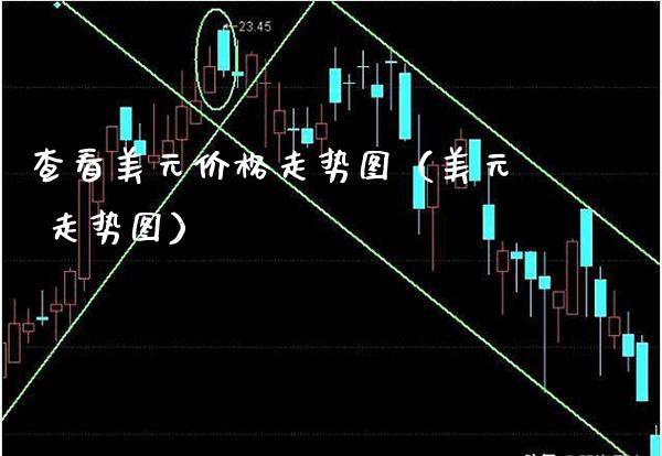 查看美元价格走势图(美元 走势图)_黄金期货_第1张_期货投资网 查看美元价格走势图(美元 走势图)_https://www.cqckcrrc.com_黄金期货_第1张