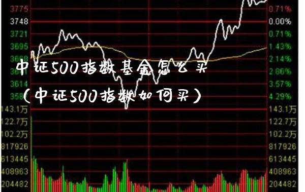 中证500指数基金怎么买（中证500指数如何买）_https://www.cqckcrrc.com_黄金期货_第1张
