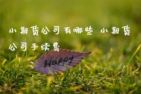 小期货公司有哪些 小期货公司手续费_黄金期货_第1张_期货投资网 小期货公司有哪些 小期货公司手续费_https://www.cqckcrrc.com_黄金期货_第1张