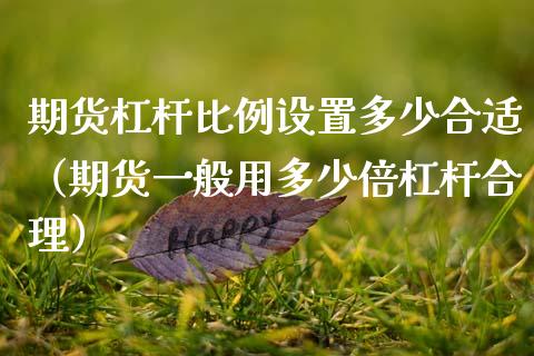 期货杠杆比例设置多少合适(期货一般用多少倍杠杆合理)_期货理财_第1张_期货投资网 期货杠杆比例设置多少合适(期货一般用多少倍杠杆合理)_https://www.cqckcrrc.com_期货理财_第1张