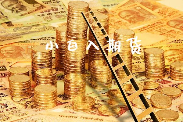 小白入期货_https://www.cqckcrrc.com_道指直播_第1张