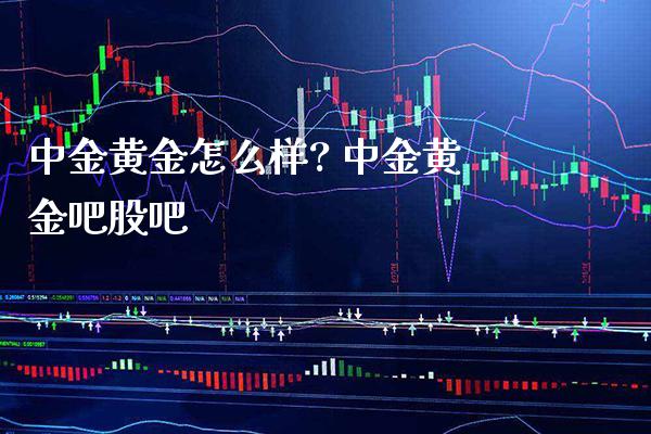 中金黄金怎么样? 中金黄金吧股吧_原油期货_第1张_期货投资网 中金黄金怎么样? 中金黄金吧股吧_https://www.cqckcrrc.com_原油期货_第1张