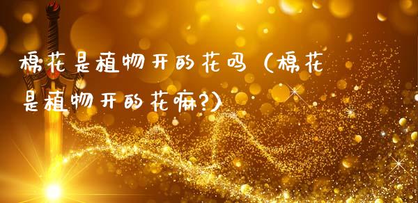 棉花是植物开的花吗（棉花是植物开的花嘛?）_https://www.cqckcrrc.com_恒生指数_第1张