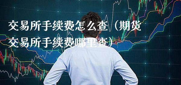 交易所手续费怎么查（期货交易所手续费哪里查）_https://www.cqckcrrc.com_纳指直播_第1张