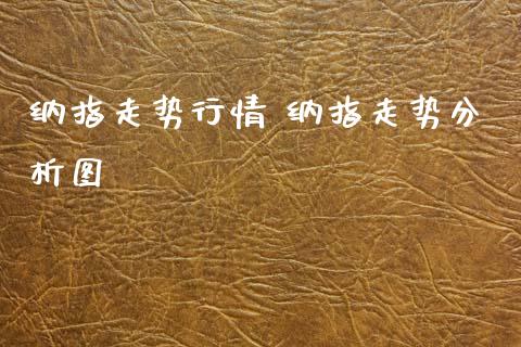 纳指走势行情 纳指走势分析图_https://www.cqckcrrc.com_纳指直播_第1张