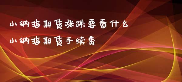 小纳指期货涨跌要看什么 小纳指期货手续费_纳指直播_第1张_期货投资网 小纳指期货涨跌要看什么 小纳指期货手续费_https://www.cqckcrrc.com_纳指直播_第1张