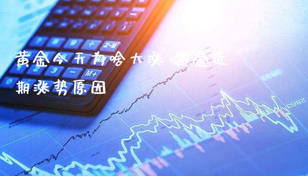 黄金今天为啥大涨 黄金近期涨势原因_纳指直播_第1张_期货投资网 黄金今天为啥大涨 黄金近期涨势原因_https://www.cqckcrrc.com_纳指直播_第1张