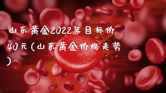 山东黄金2022年目标价40元(山东黄金价格走势)_原油期货_第1张_期货投资网 山东黄金2022年目标价40元(山东黄金价格走势)_https://www.cqckcrrc.com_原油期货_第1张