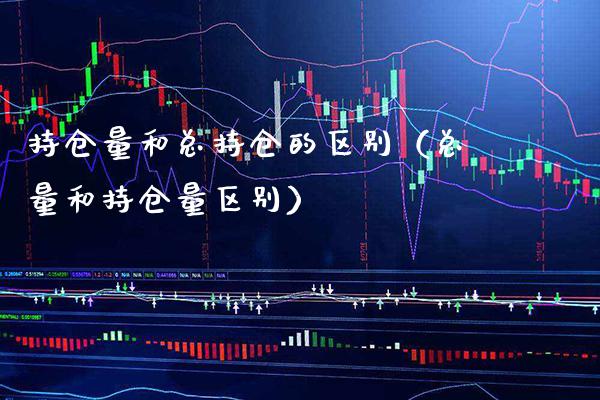 持仓量和总持仓的区别（总量和持仓量区别）_https://www.cqckcrrc.com_道指直播_第1张