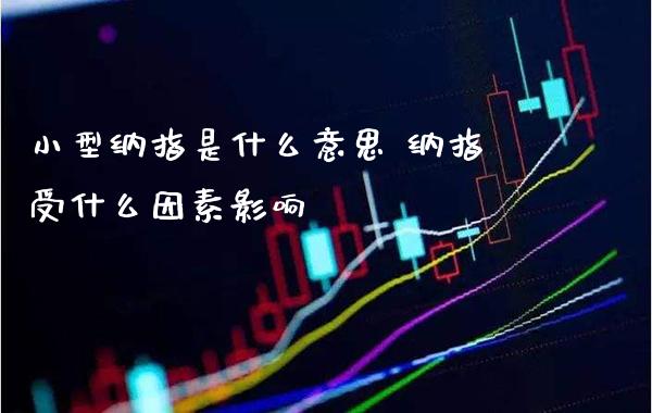 小型纳指是什么意思 纳指受什么因素影响_纳指直播_第1张_期货投资网 小型纳指是什么意思 纳指受什么因素影响_https://www.cqckcrrc.com_纳指直播_第1张