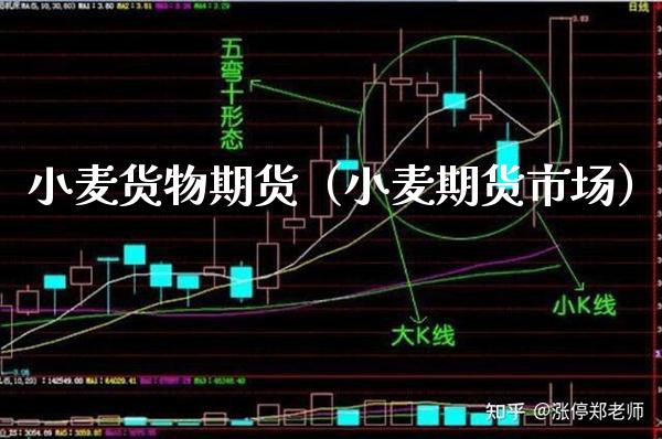 小麦货物期货(小麦期货市场)_期货理财_第1张_期货投资网 小麦货物期货(小麦期货市场)_https://www.cqckcrrc.com_期货理财_第1张