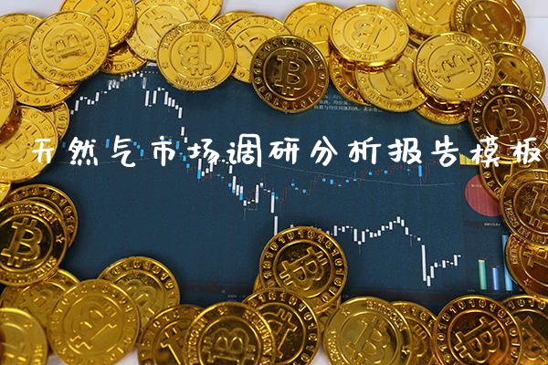 天然气市场调研分析报告模板_https://www.cqckcrrc.com_道指直播_第1张