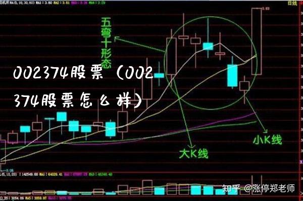 002374股票(002374股票怎么样)_股票理财_第1张_期货投资网 002374股票(002374股票怎么样)_https://www.cqckcrrc.com_股票理财_第1张