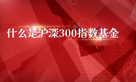 什么是沪深300指数基金_纳指直播_第1张_期货投资网 什么是沪深300指数基金_https://www.cqckcrrc.com_纳指直播_第1张