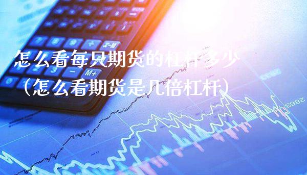 怎么看每只期货的杠杆多少(怎么看期货是几倍杠杆)_恒生指数_第1张_期货投资网 怎么看每只期货的杠杆多少(怎么看期货是几倍杠杆)_https://www.cqckcrrc.com_恒生指数_第1张