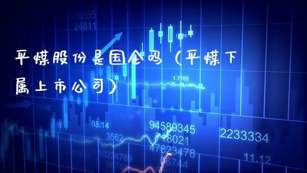 平煤股份是国企吗（平煤下属上市公司）_https://www.cqckcrrc.com_道指直播_第1张