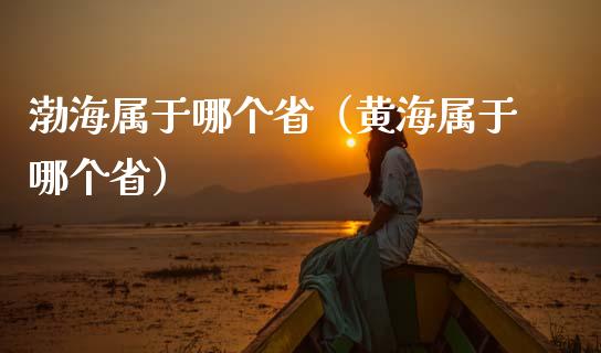 渤海属于哪个省（黄海属于哪个省）_https://www.cqckcrrc.com_道指直播_第1张