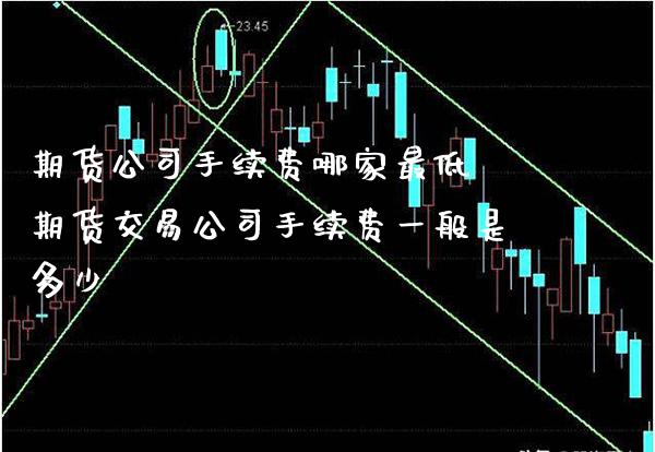 期货公司手续费哪家最低 期货交易公司手续费一般是多少_道指直播_第1张_期货投资网 期货公司手续费哪家最低 期货交易公司手续费一般是多少_https://www.cqckcrrc.com_道指直播_第1张