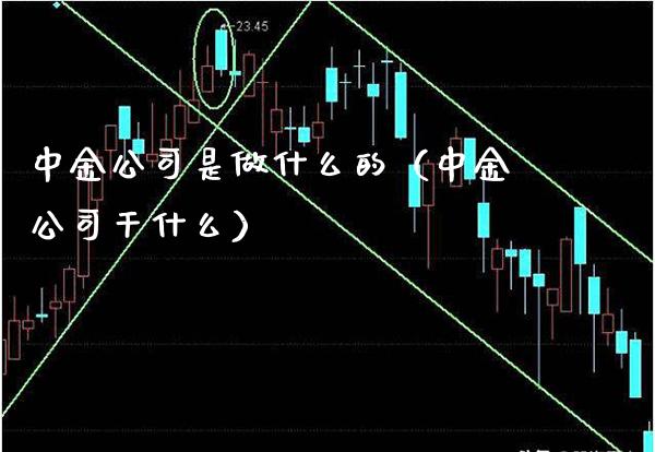 中金公司是做什么的（中金公司干什么）_https://www.cqckcrrc.com_黄金期货_第1张