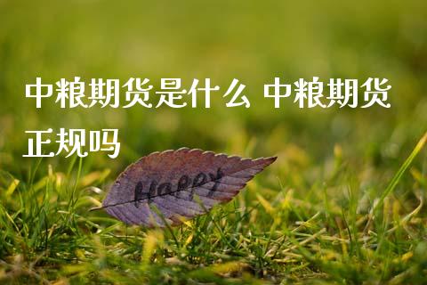 中粮期货是什么 中粮期货正规吗_黄金期货_第1张_期货投资网 中粮期货是什么 中粮期货正规吗_https://www.cqckcrrc.com_黄金期货_第1张