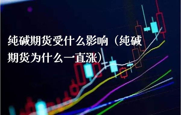 纯碱期货受什么影响（纯碱期货为什么一直涨）_https://www.cqckcrrc.com_纳指直播_第1张