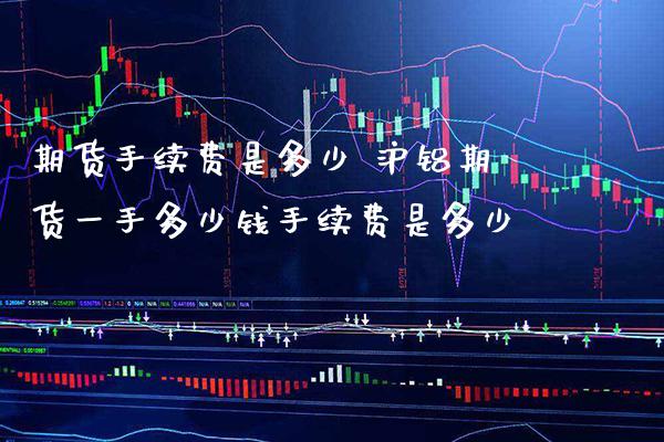 期货手续费是多少 沪铝期货一手多少钱手续费是多少_https://www.cqckcrrc.com_纳指直播_第1张