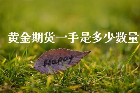 黄金期货一手是多少数量_道指直播_第1张_期货投资网 黄金期货一手是多少数量_https://www.cqckcrrc.com_道指直播_第1张
